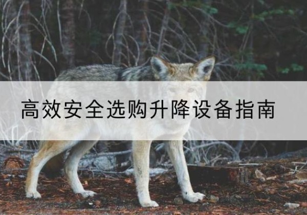 津升降货梯厂家推荐-*安全选购升降设备指南
