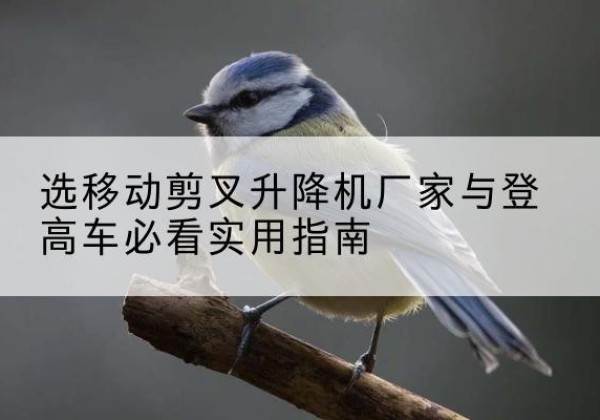 津电动升降机厂家-选移动剪叉升降机厂家与登高车必看实用指南