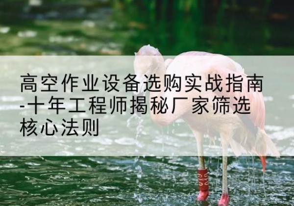 津剪叉式升降机厂家-高空作业设备选购实战指南-十年工程师揭秘厂家筛选核心法则