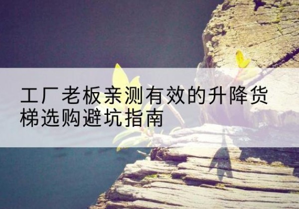 津升降货梯怎么选-工厂老板亲测有效的升降货梯选购避坑指南